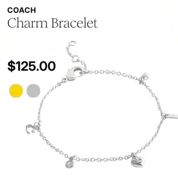 ๐ชท NWT Coach Silver Charm Bracelet - Picture 6 of 8